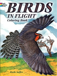 Birds in Flight - Coloring Book