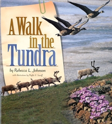 Walk In the Tundra