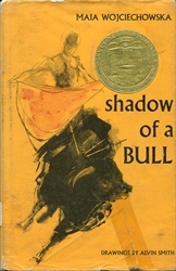 Shadow of a Bull