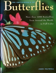 Encyclopedia of Butterflies