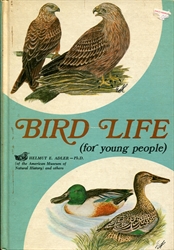 Bird Life for Young People