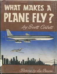 What Makes a Plane Fly?