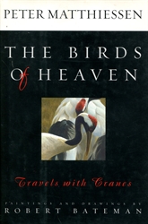 Birds of Heaven