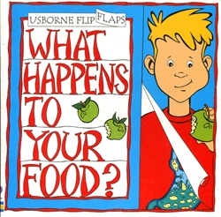 What Happens To Your Food?
