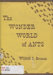 Wonder World of Ants