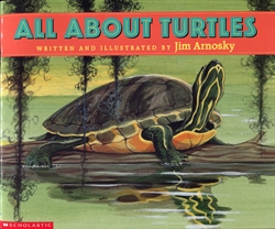 All About Turtles