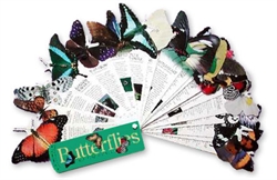 Fandex Family Field Guides - Butterflies