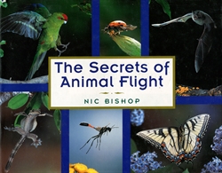 Secrets of Animal Flight