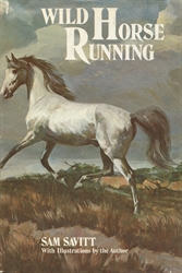 Wild Horse Running