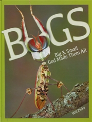 Bugs Big & Small God Made Them All