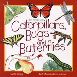 Caterpillars, Bugs and Butterflies
