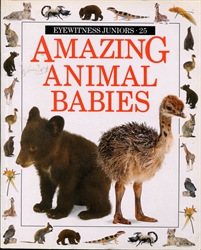 Amazing Animal Babies