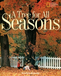 Tree for All Seasons