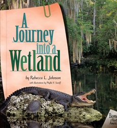 Journey into a Wetland
