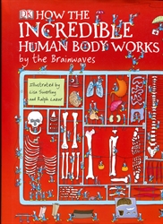 How the Incredible Human Body Works - By the Brainwaves