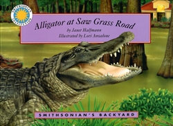 Alligator at Saw Grass Hill