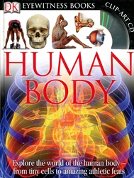 DK Eyewitness: Human Body