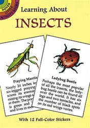 Learning About Insects - Activity Book