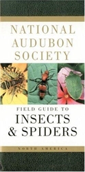 National Audubon Society Field Guide to Insects & Spiders