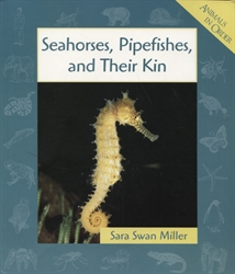 Seahorses, Pipefishes, and Their Kin