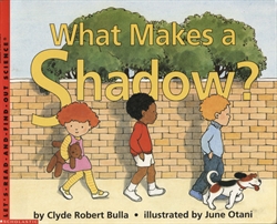 What Makes a Shadow?