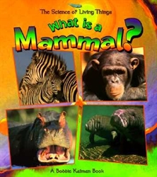 What Is a Mammal? (Science of Living Things)