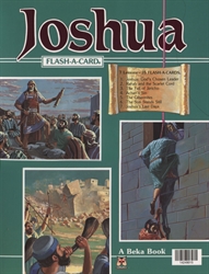 Joshua Flash-a-Card (really old)