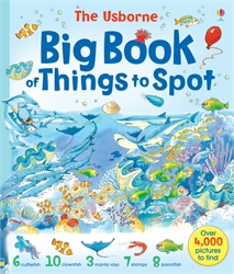 Usborne Big Book of Things to Spot