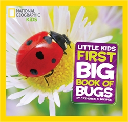 Little Kids' First Big Book of Bugs