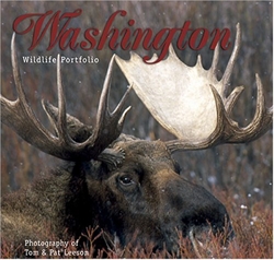 Washington Wildlife Portfolio