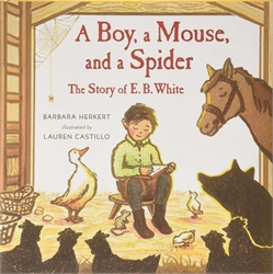 Boy, a Mouse, and a Spider