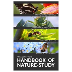 Comstock’s Handbook of Nature Study – Insects