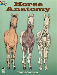 Horse Anatomy - Coloring Book