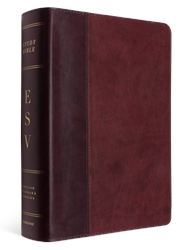 ESV Study Bible - Burgundy/Red Genuine Leather
