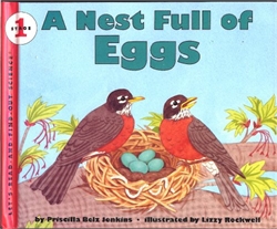Nest Full of Eggs