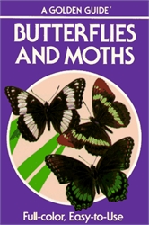 Golden Guide: Butterflies and Moths