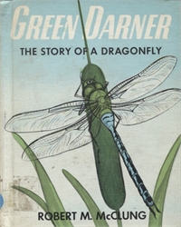 Green Darner
