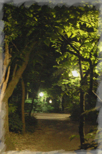Central Park Night Path