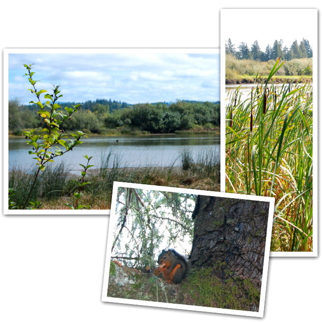 Beautiful Columbia River Area