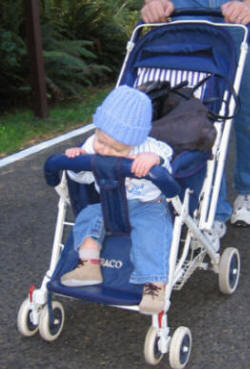 Sleeping in the Stroller