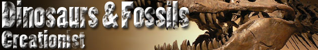 Dinosaurs & Fossils