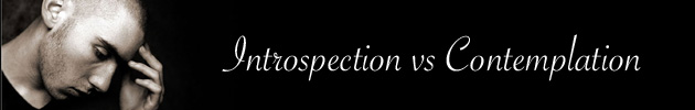 Introspection vs. Contemplation