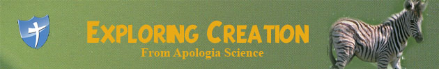 Apologia Exploring Creation