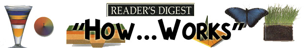 Reader's Digest "How. . . Works"