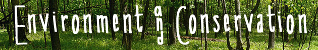 Environment & Conservation