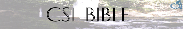 CSI Bible