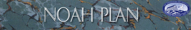 Noah Plan