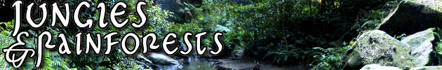 Jungles & Rainforests