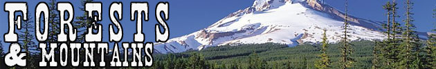 Forests & Mountains