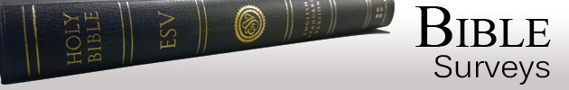 Bible Surveys